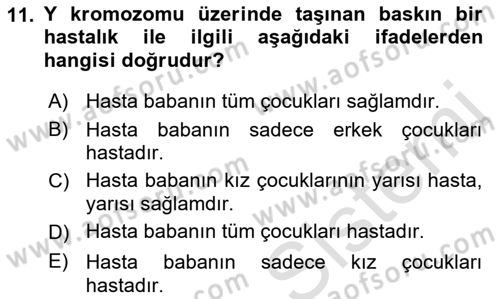 Temel Veteriner Genetik Dersi 2022 - 2023 Yılı Yaz Okulu Sınav Soruları 11. Soru