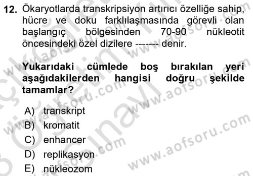 Temel Veteriner Genetik Dersi 2022 - 2023 Yılı Yaz Okulu Sınav Soruları 12. Soru