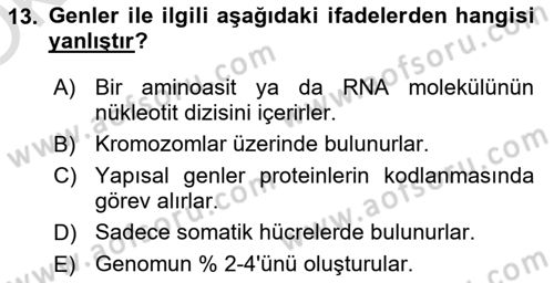 Temel Veteriner Genetik Dersi 2022 - 2023 Yılı Yaz Okulu Sınav Soruları 13. Soru