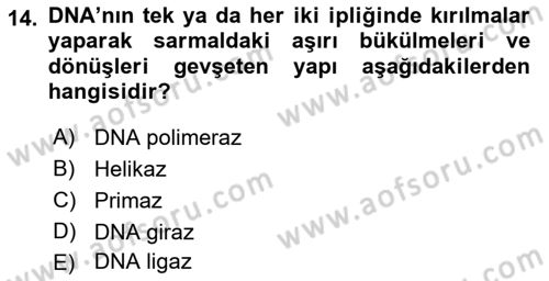 Temel Veteriner Genetik Dersi 2022 - 2023 Yılı Yaz Okulu Sınav Soruları 14. Soru