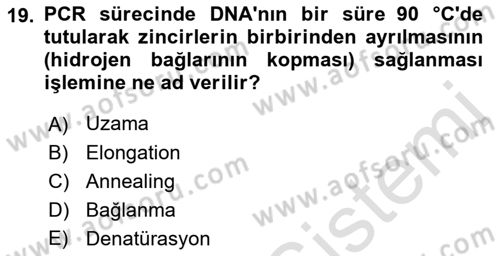 Temel Veteriner Genetik Dersi 2022 - 2023 Yılı Yaz Okulu Sınav Soruları 19. Soru
