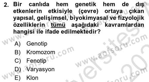 Temel Veteriner Genetik Dersi 2022 - 2023 Yılı Yaz Okulu Sınav Soruları 2. Soru