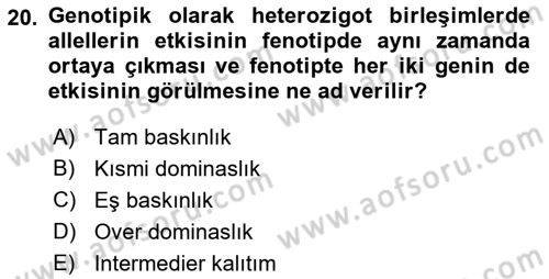 Temel Veteriner Genetik Dersi 2022 - 2023 Yılı Yaz Okulu Sınav Soruları 20. Soru