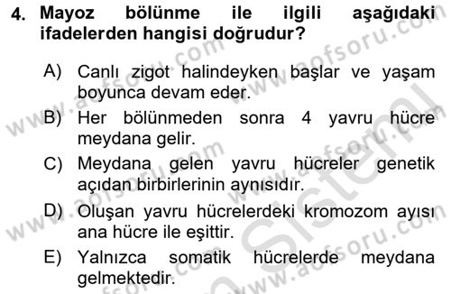 Temel Veteriner Genetik Dersi 2022 - 2023 Yılı Yaz Okulu Sınav Soruları 4. Soru