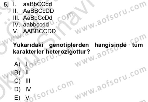 Temel Veteriner Genetik Dersi 2022 - 2023 Yılı Yaz Okulu Sınav Soruları 5. Soru
