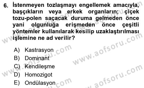 Temel Veteriner Genetik Dersi 2022 - 2023 Yılı Yaz Okulu Sınav Soruları 6. Soru