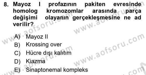 Temel Veteriner Genetik Dersi 2022 - 2023 Yılı Yaz Okulu Sınav Soruları 8. Soru
