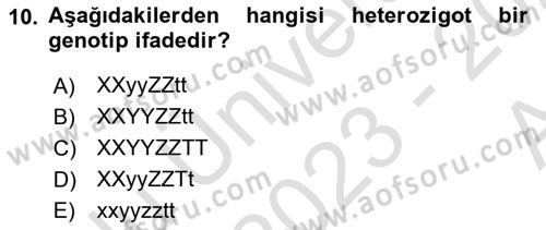 Temel Veteriner Genetik Dersi Ara Sınavı Deneme Sınav Soruları 10. Soru