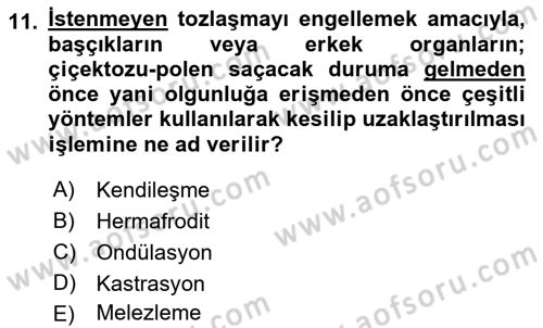 Temel Veteriner Genetik Dersi Ara Sınavı Deneme Sınav Soruları 11. Soru