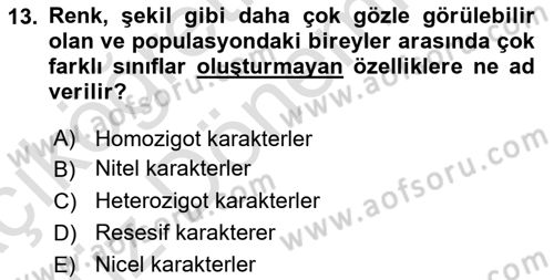 Temel Veteriner Genetik Dersi Ara Sınavı Deneme Sınav Soruları 13. Soru