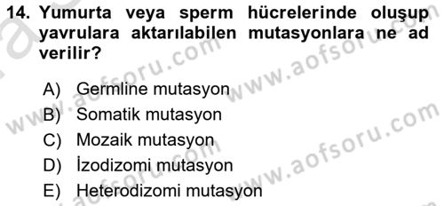 Temel Veteriner Genetik Dersi Ara Sınavı Deneme Sınav Soruları 14. Soru