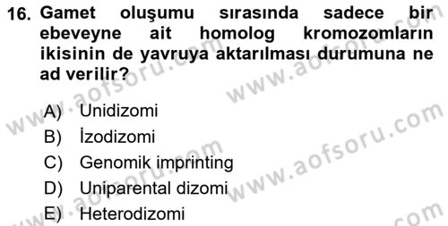 Temel Veteriner Genetik Dersi Ara Sınavı Deneme Sınav Soruları 16. Soru