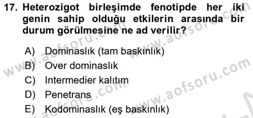 Temel Veteriner Genetik Dersi Ara Sınavı Deneme Sınav Soruları 17. Soru