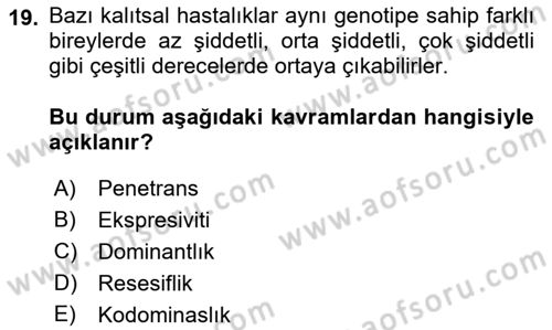 Temel Veteriner Genetik Dersi 2023 - 2024 Yılı (Vize) Ara Sınav Soruları 19. Soru
