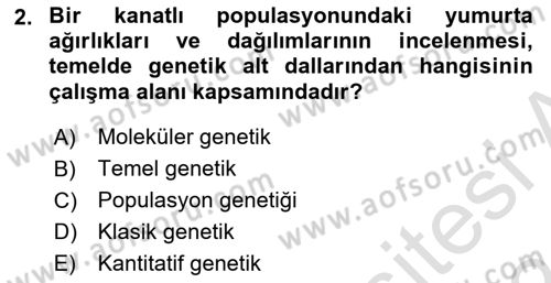 Temel Veteriner Genetik Dersi Ara Sınavı Deneme Sınav Soruları 2. Soru