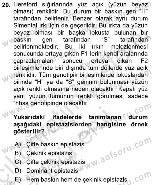 Temel Veteriner Genetik Dersi 2023 - 2024 Yılı (Vize) Ara Sınav Soruları 20. Soru