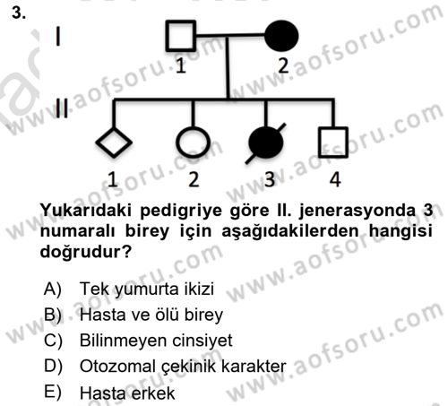 Temel Veteriner Genetik Dersi 2023 - 2024 Yılı (Vize) Ara Sınav Soruları 3. Soru