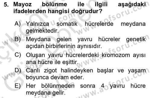 Temel Veteriner Genetik Dersi Ara Sınavı Deneme Sınav Soruları 5. Soru