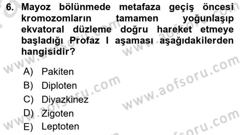 Temel Veteriner Genetik Dersi Ara Sınavı Deneme Sınav Soruları 6. Soru