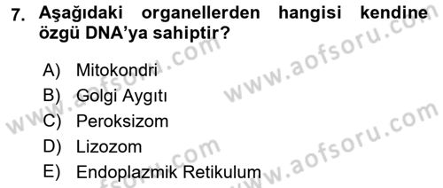 Temel Veteriner Genetik Dersi Ara Sınavı Deneme Sınav Soruları 7. Soru