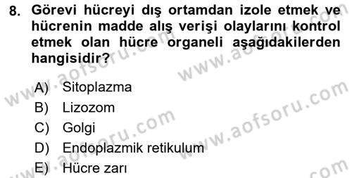 Temel Veteriner Genetik Dersi Ara Sınavı Deneme Sınav Soruları 8. Soru
