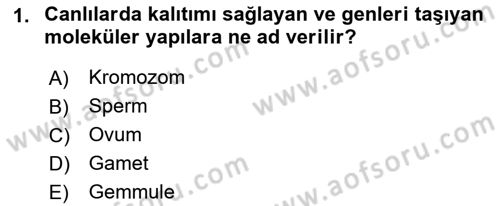 Temel Veteriner Genetik Dersi 2023 - 2024 Yılı (Final) Dönem Sonu Sınav Soruları 1. Soru