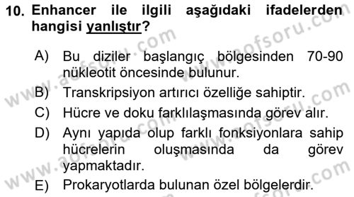 Temel Veteriner Genetik Dersi 2023 - 2024 Yılı (Final) Dönem Sonu Sınav Soruları 10. Soru