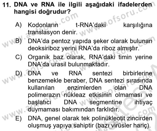 Temel Veteriner Genetik Dersi 2023 - 2024 Yılı (Final) Dönem Sonu Sınav Soruları 11. Soru