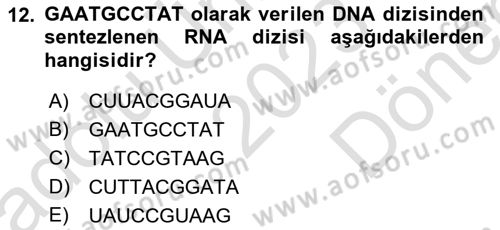 Temel Veteriner Genetik Dersi 2023 - 2024 Yılı (Final) Dönem Sonu Sınav Soruları 12. Soru