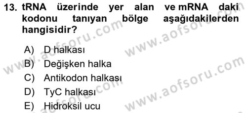 Temel Veteriner Genetik Dersi 2023 - 2024 Yılı (Final) Dönem Sonu Sınav Soruları 13. Soru