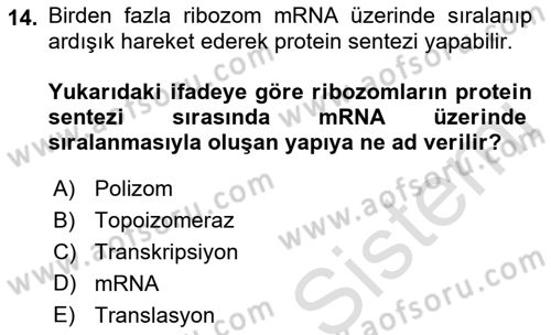 Temel Veteriner Genetik Dersi 2023 - 2024 Yılı (Final) Dönem Sonu Sınav Soruları 14. Soru