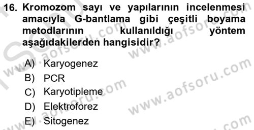 Temel Veteriner Genetik Dersi 2023 - 2024 Yılı (Final) Dönem Sonu Sınav Soruları 16. Soru