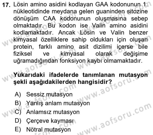 Temel Veteriner Genetik Dersi 2023 - 2024 Yılı (Final) Dönem Sonu Sınav Soruları 17. Soru