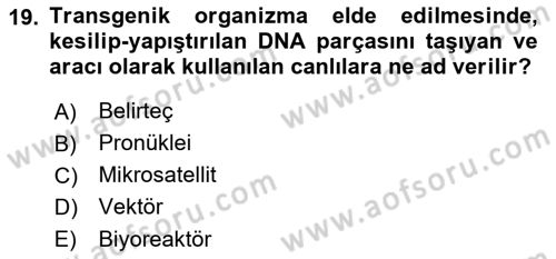Temel Veteriner Genetik Dersi 2023 - 2024 Yılı (Final) Dönem Sonu Sınav Soruları 19. Soru