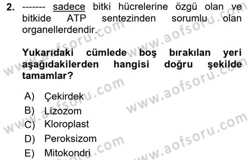 Temel Veteriner Genetik Dersi 2023 - 2024 Yılı (Final) Dönem Sonu Sınav Soruları 2. Soru