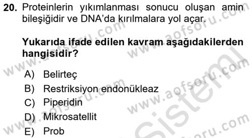 Temel Veteriner Genetik Dersi 2023 - 2024 Yılı (Final) Dönem Sonu Sınav Soruları 20. Soru