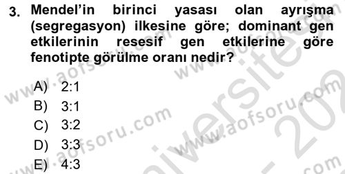 Temel Veteriner Genetik Dersi 2023 - 2024 Yılı (Final) Dönem Sonu Sınav Soruları 3. Soru