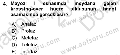 Temel Veteriner Genetik Dersi 2023 - 2024 Yılı (Final) Dönem Sonu Sınav Soruları 4. Soru