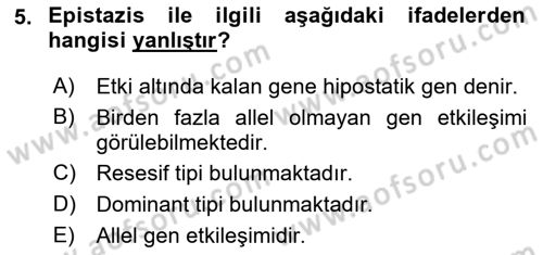 Temel Veteriner Genetik Dersi 2023 - 2024 Yılı (Final) Dönem Sonu Sınav Soruları 5. Soru