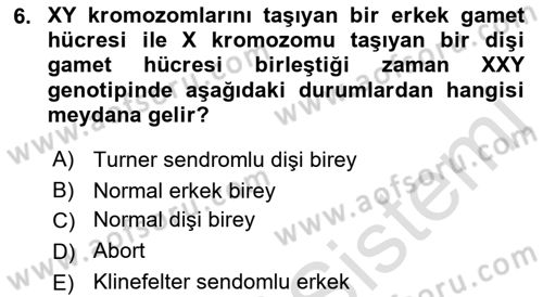Temel Veteriner Genetik Dersi 2023 - 2024 Yılı (Final) Dönem Sonu Sınav Soruları 6. Soru