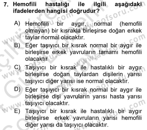 Temel Veteriner Genetik Dersi 2023 - 2024 Yılı (Final) Dönem Sonu Sınav Soruları 7. Soru