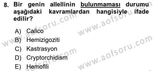 Temel Veteriner Genetik Dersi 2023 - 2024 Yılı (Final) Dönem Sonu Sınav Soruları 8. Soru