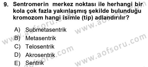 Temel Veteriner Genetik Dersi 2023 - 2024 Yılı (Final) Dönem Sonu Sınav Soruları 9. Soru