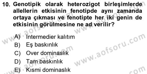 Temel Veteriner Genetik Dersi 2023 - 2024 Yılı Yaz Okulu Sınav Soruları 10. Soru