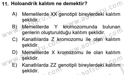 Temel Veteriner Genetik Dersi 2023 - 2024 Yılı Yaz Okulu Sınav Soruları 11. Soru