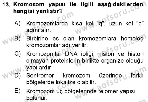 Temel Veteriner Genetik Dersi 2023 - 2024 Yılı Yaz Okulu Sınav Soruları 13. Soru