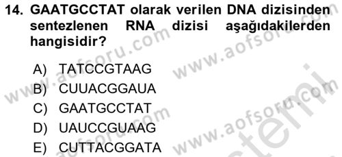 Temel Veteriner Genetik Dersi 2023 - 2024 Yılı Yaz Okulu Sınav Soruları 14. Soru