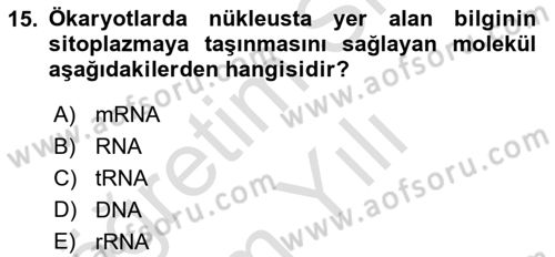 Temel Veteriner Genetik Dersi 2023 - 2024 Yılı Yaz Okulu Sınav Soruları 15. Soru