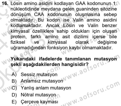 Temel Veteriner Genetik Dersi 2023 - 2024 Yılı Yaz Okulu Sınav Soruları 16. Soru