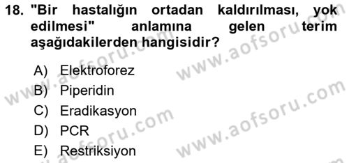 Temel Veteriner Genetik Dersi 2023 - 2024 Yılı Yaz Okulu Sınav Soruları 18. Soru
